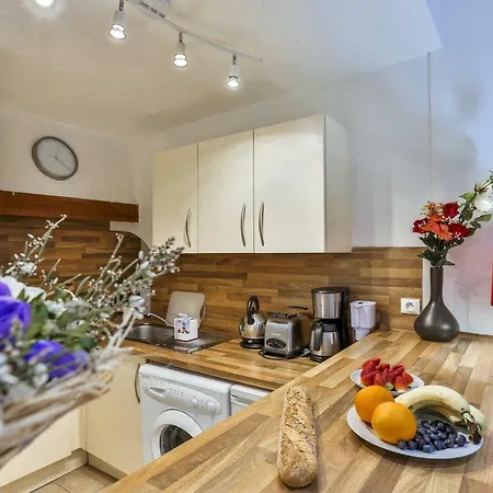 Barillerie - Perfect Location 1 아파트 니스